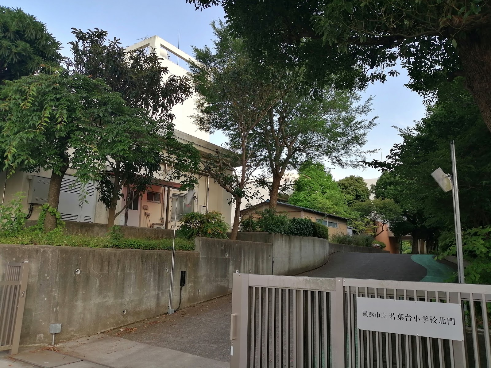 若葉台小学校の写真