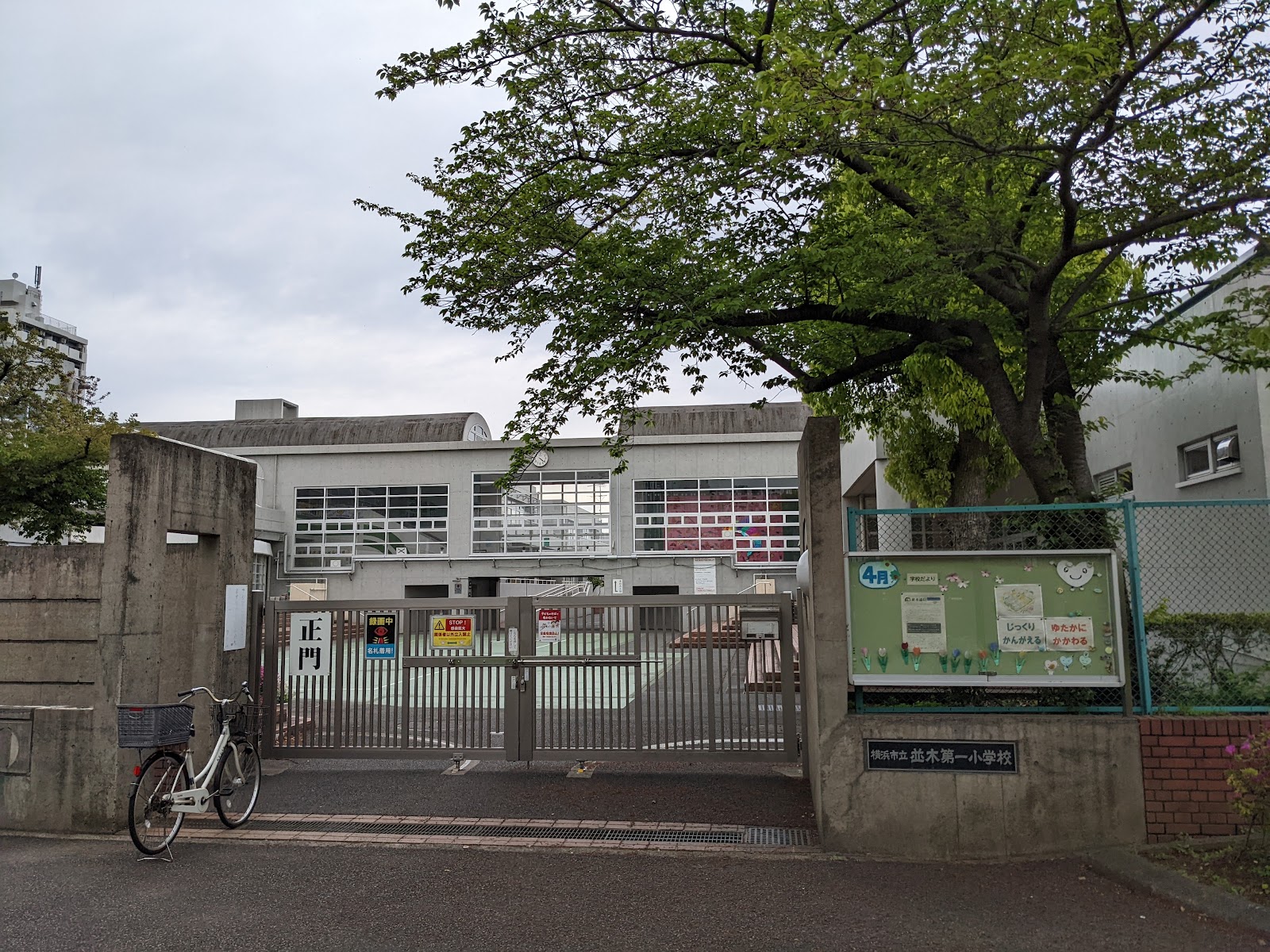 並木第一小学校の写真