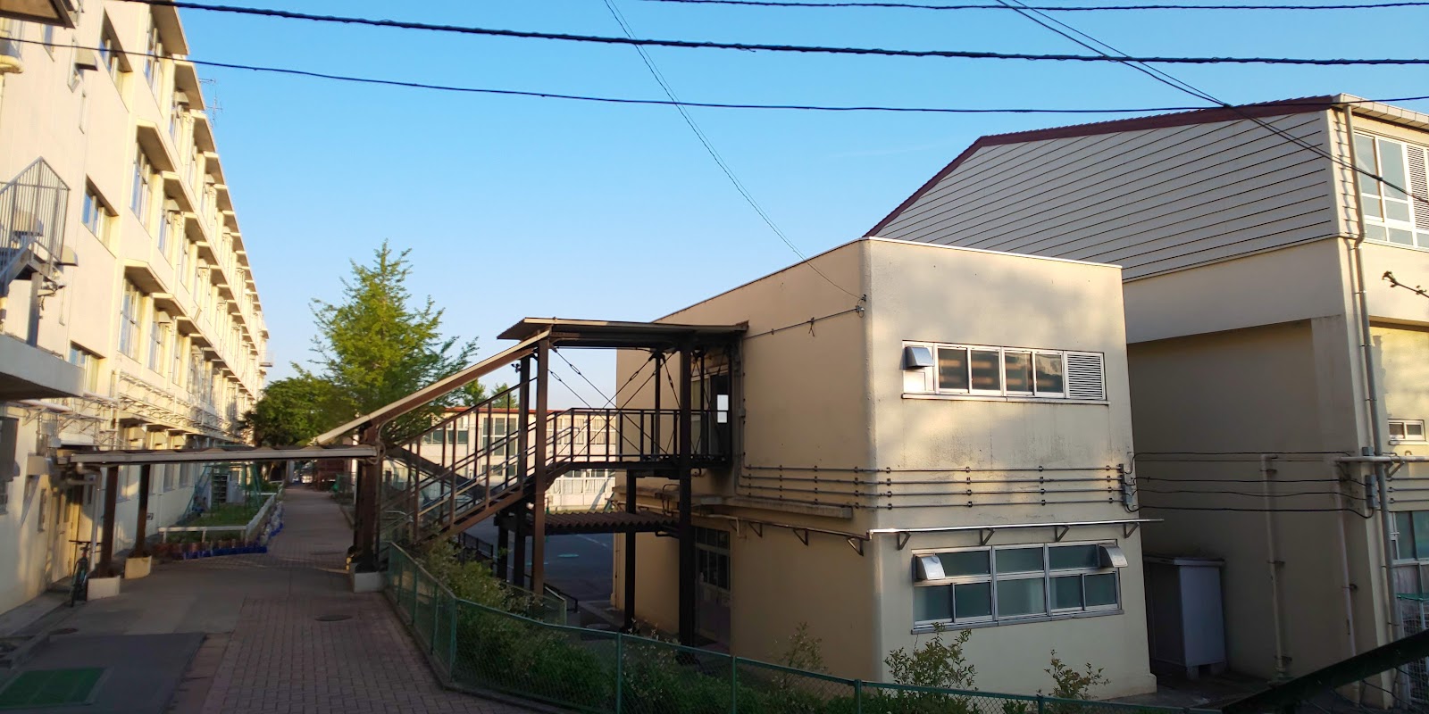 吉原小学校の写真
