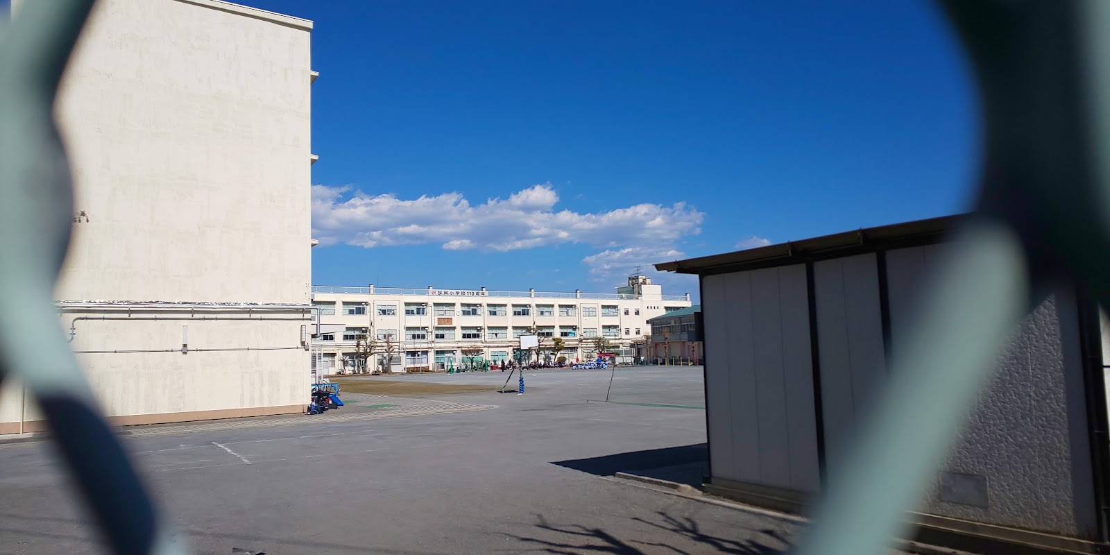 桜岡小学校の写真
