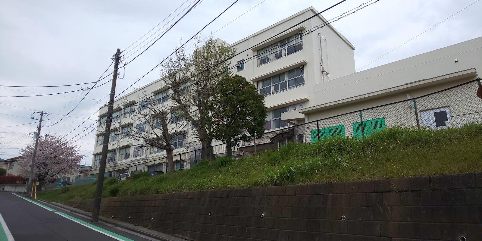 洋光台第二小学校の写真