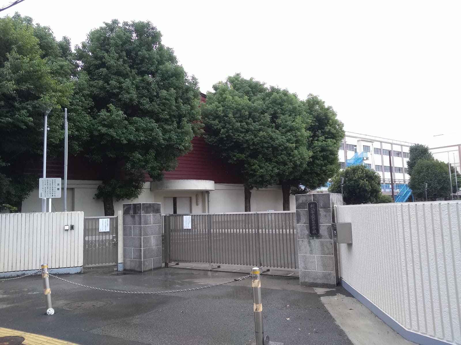 大口台小学校の写真