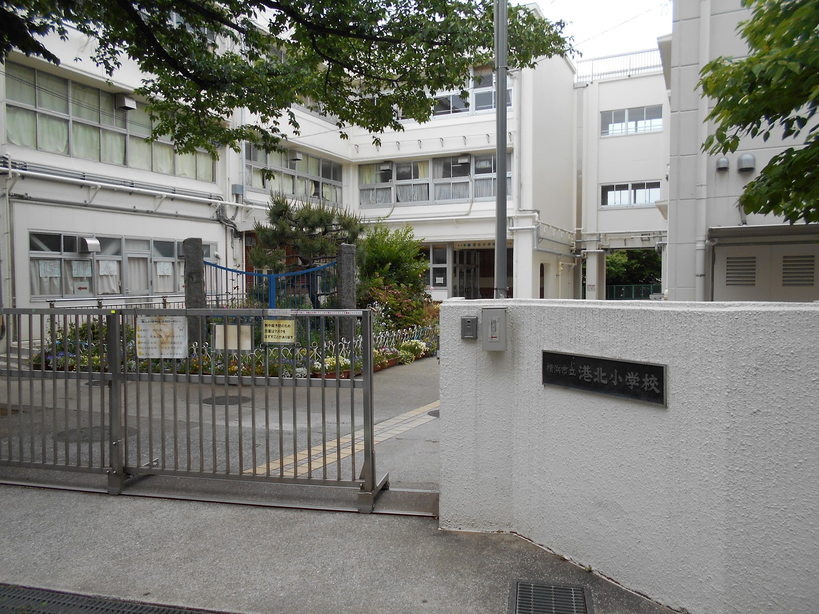港北小学校の写真