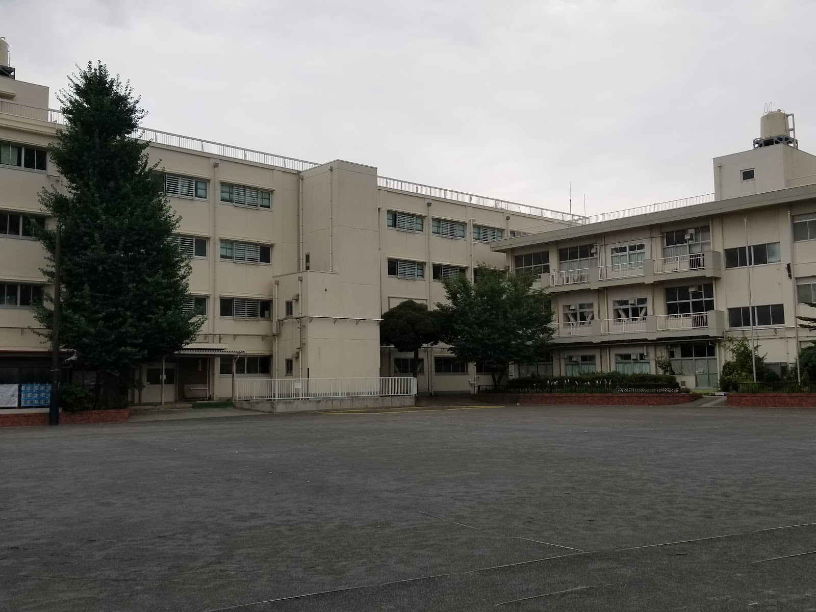 白幡小学校の写真