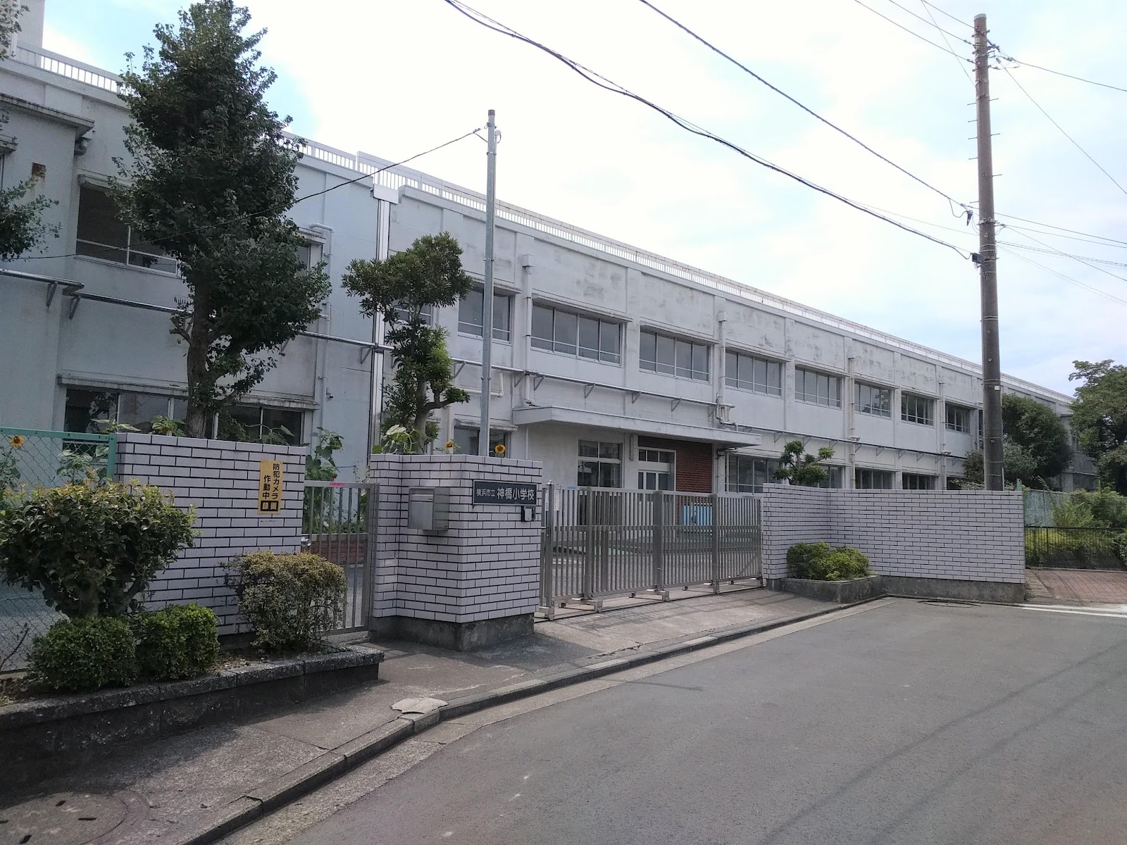 神橋小学校の写真