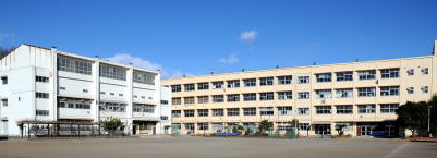 新井小学校の写真