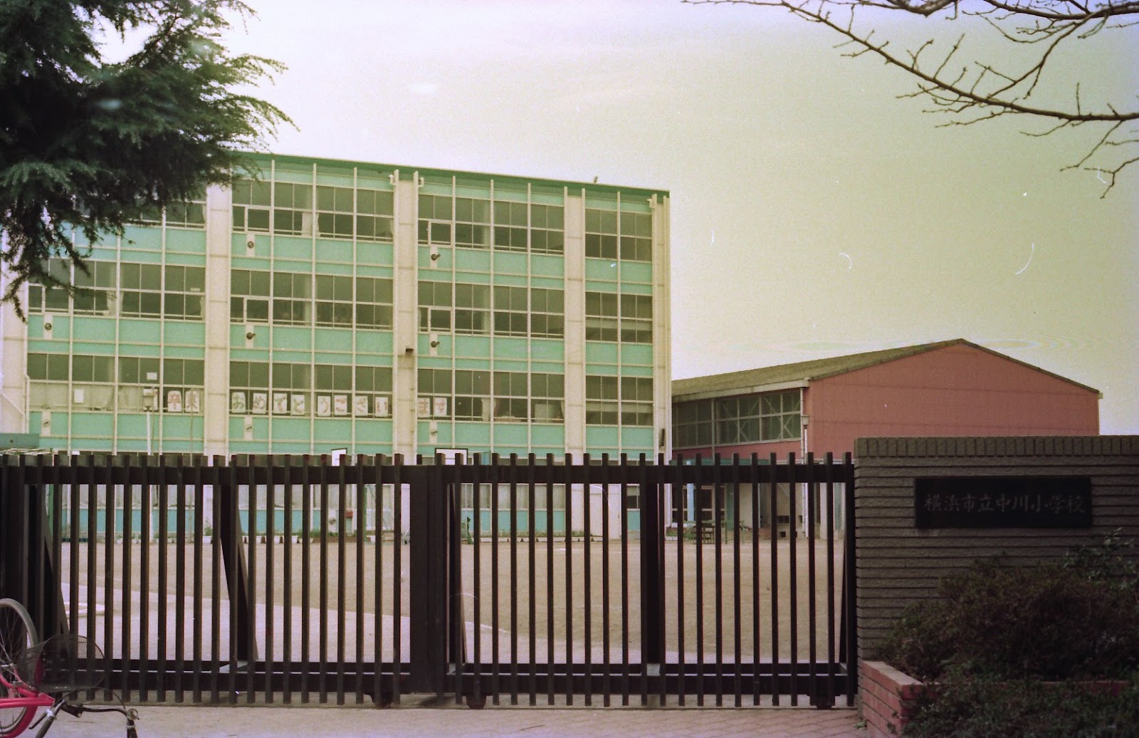 中川小学校の写真
