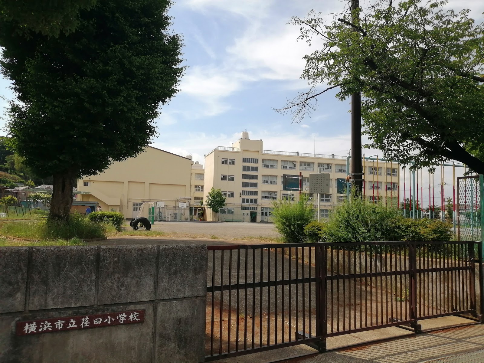荏田小学校の写真