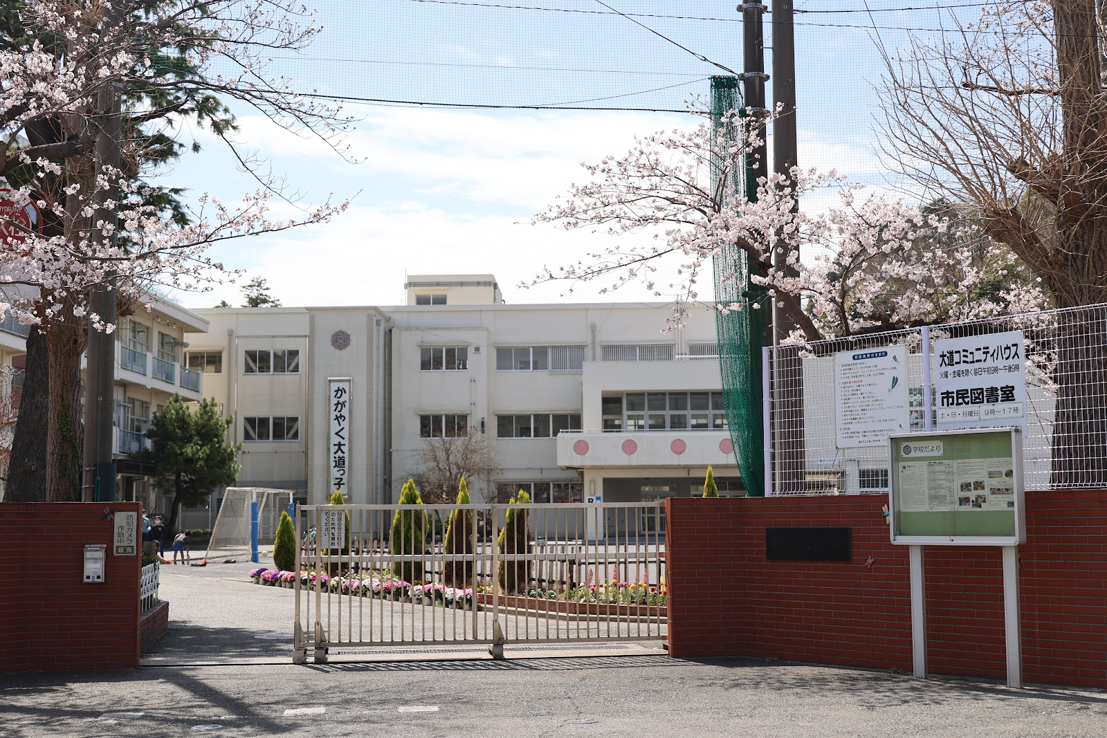 大道小学校の写真