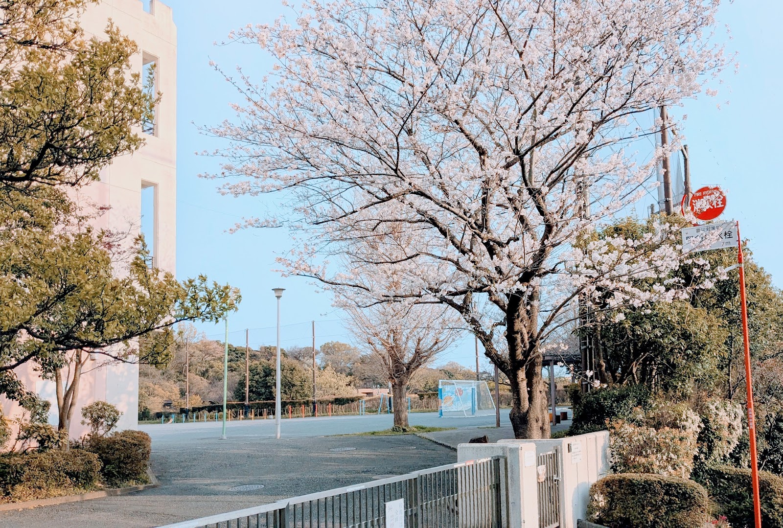 能見台南小学校の写真