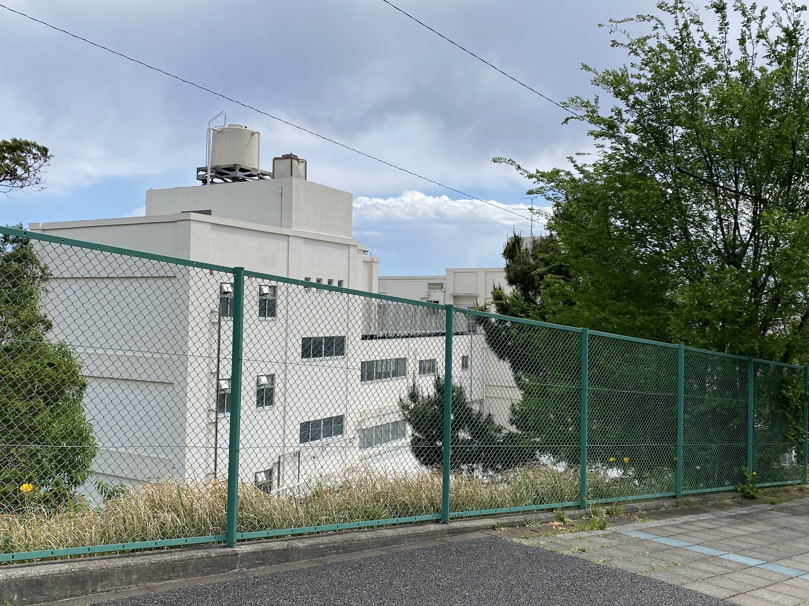 美しが丘小学校の写真