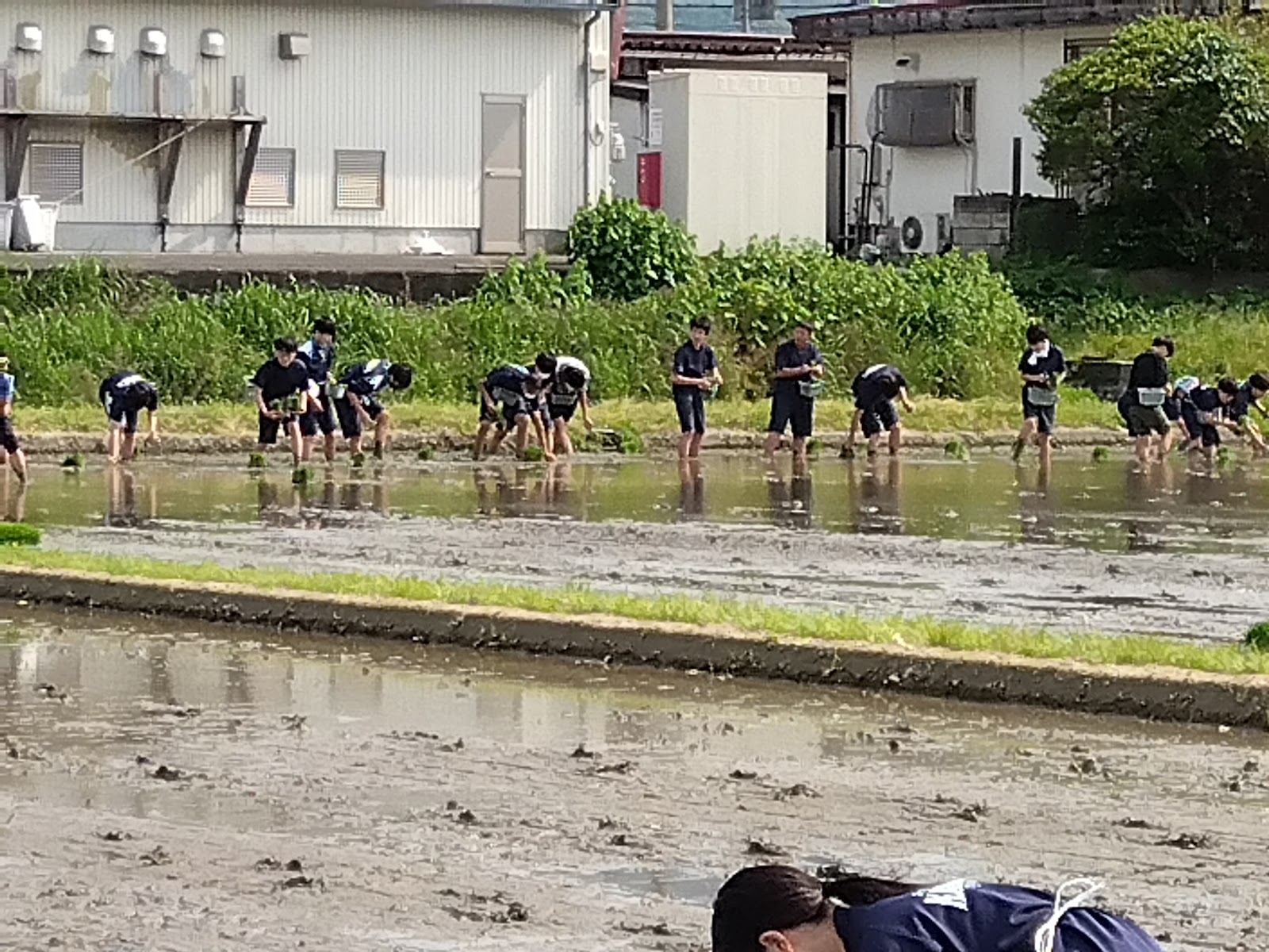 上の宮中学校の写真