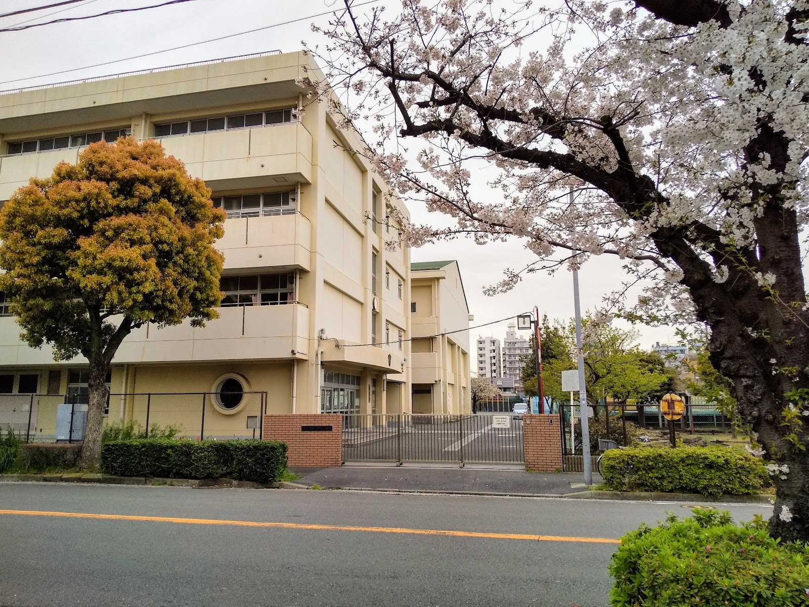下野谷小学校の写真