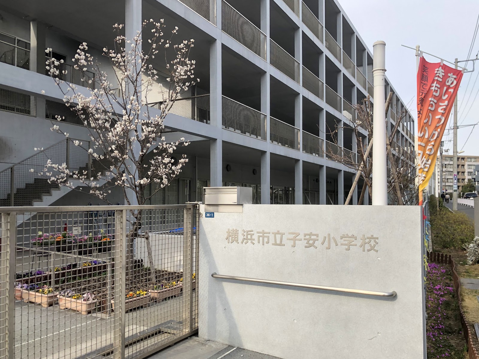 子安小学校の写真