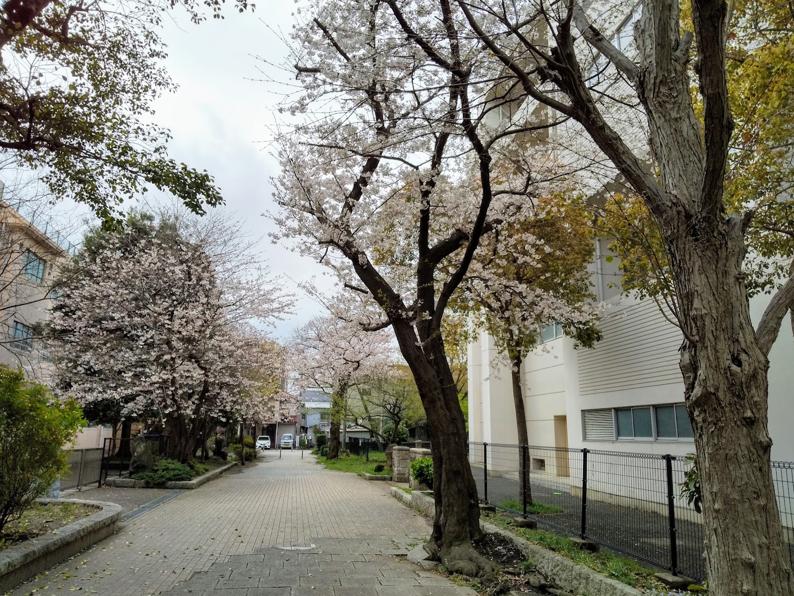 潮田中学校の写真