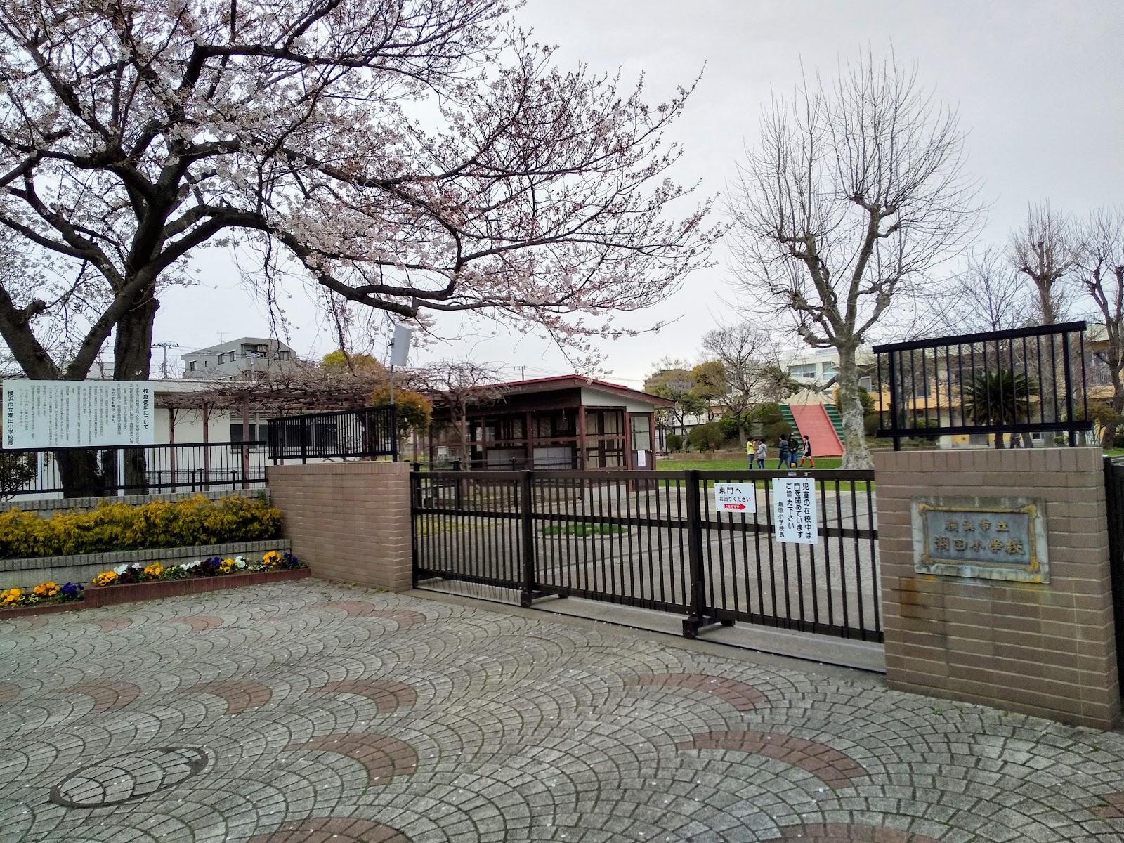潮田小学校の写真